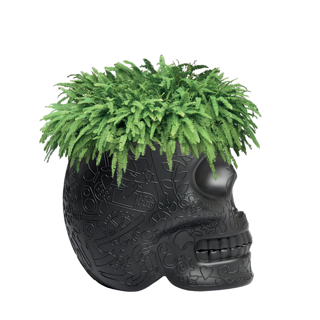 Mexico Planter e Champagne Cooler Qeeboo