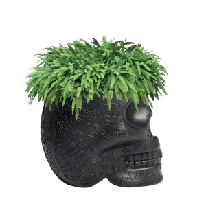 Mexico Planter e Champagne Cooler Qeeboo