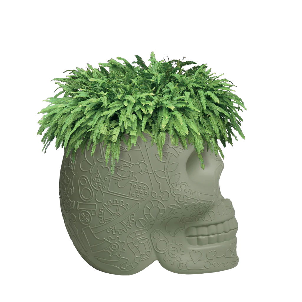 Mexico Planter e Champagne Cooler Qeeboo