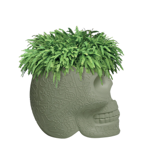 Mexico Planter e Champagne Cooler Qeeboo