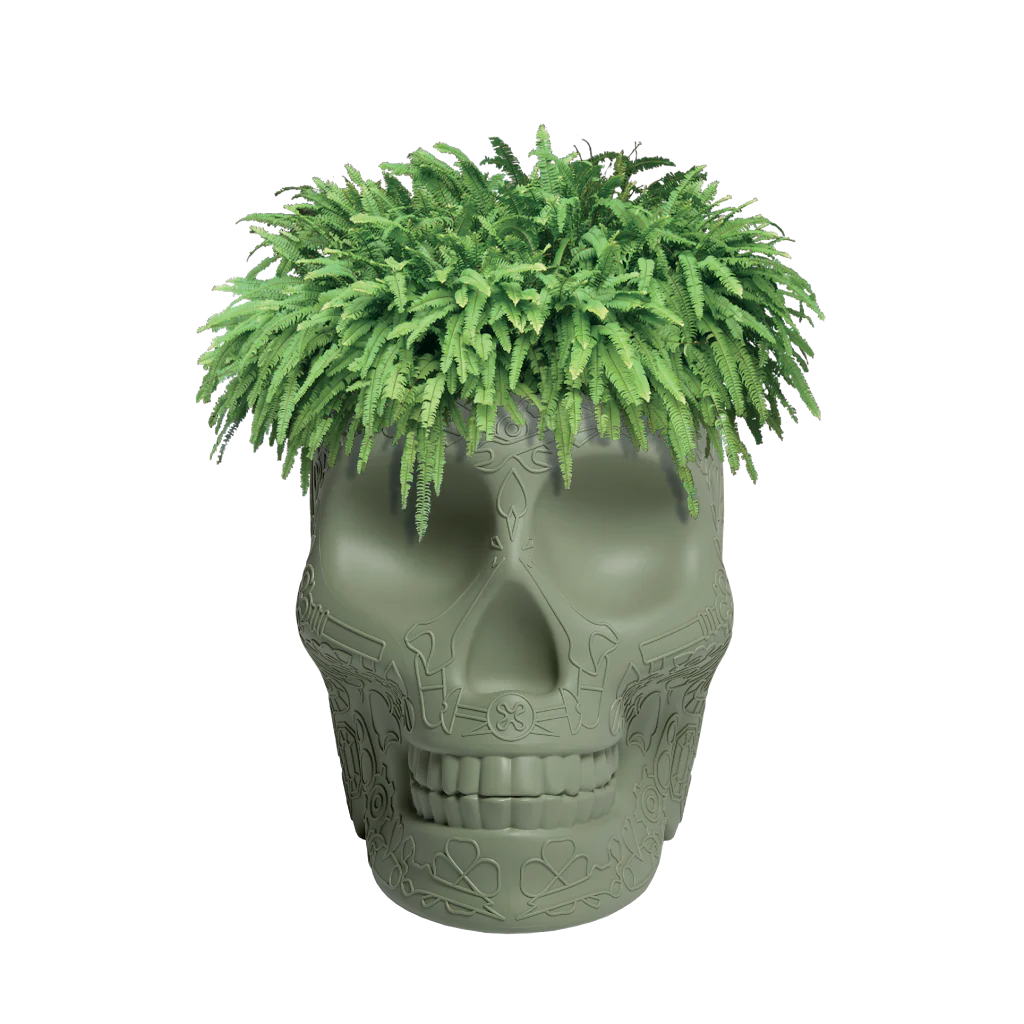 Mexico Planter e Champagne Cooler Qeeboo