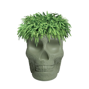 Mexico Planter e Champagne Cooler Qeeboo