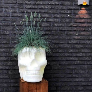 Mexico Planter e Champagne Cooler Qeeboo