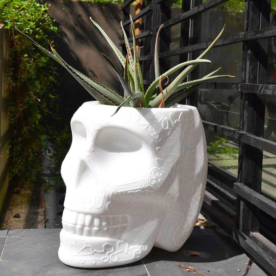 Mexico Planter e Champagne Cooler Qeeboo