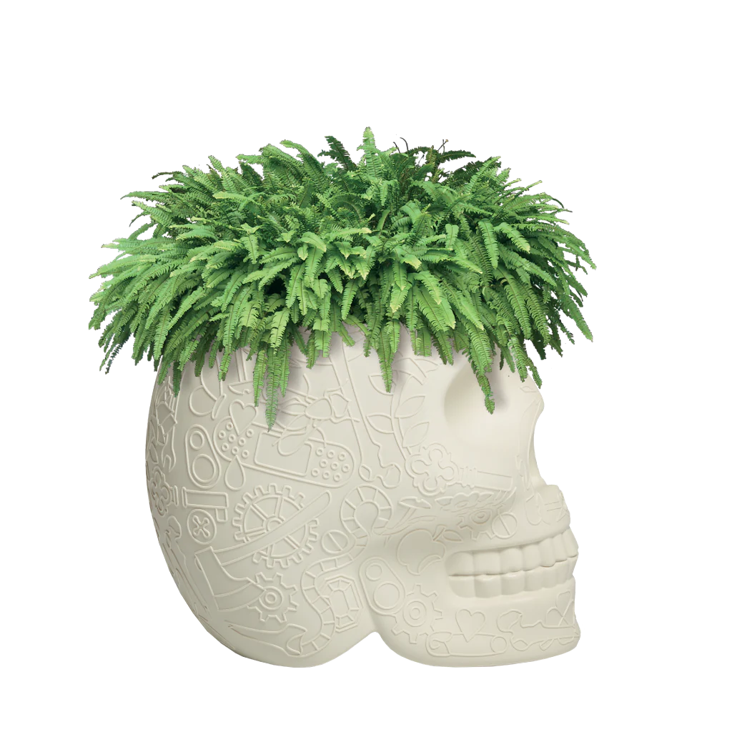 Mexico Planter e Champagne Cooler Qeeboo