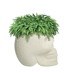 Mexico Planter e Champagne Cooler Qeeboo