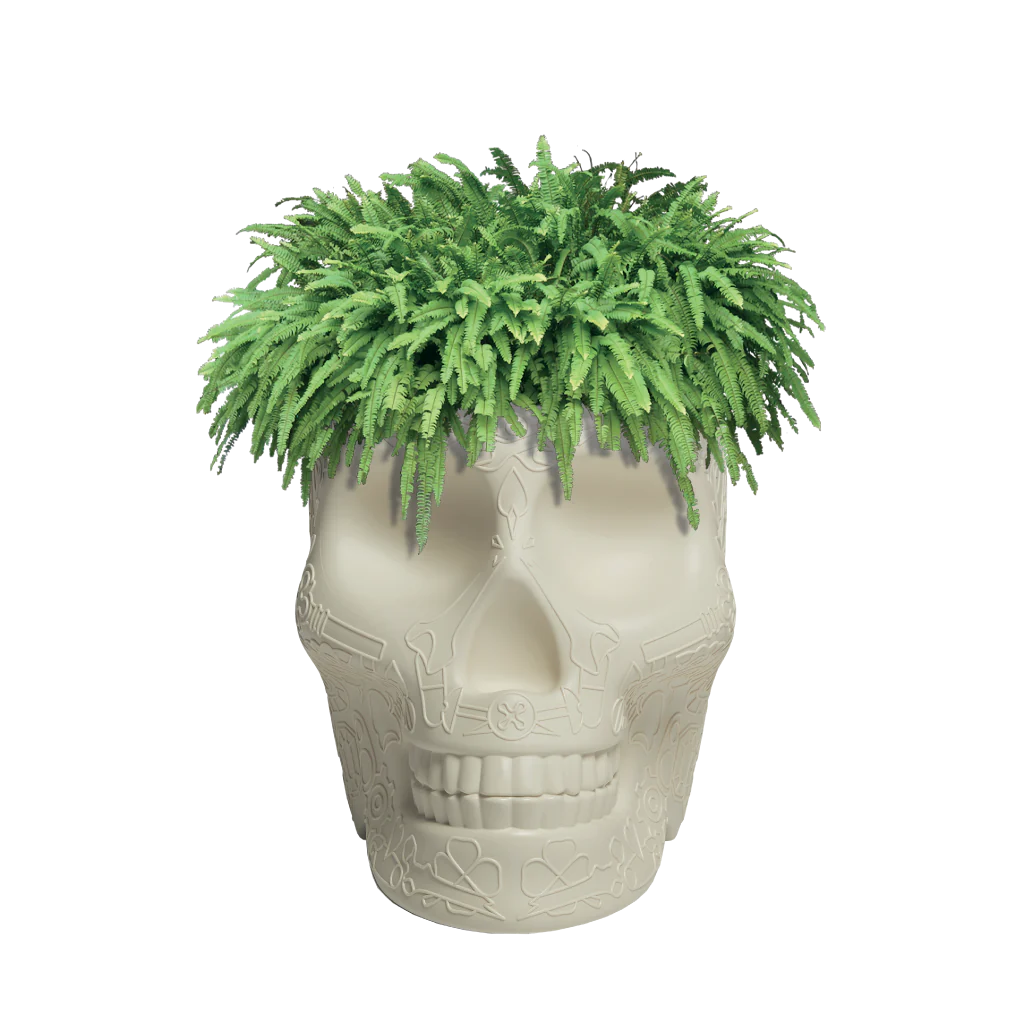 Mexico Planter e Champagne Cooler Qeeboo