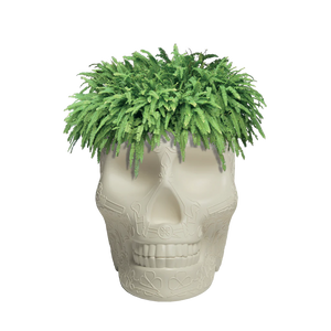 Mexico Planter e Champagne Cooler Qeeboo