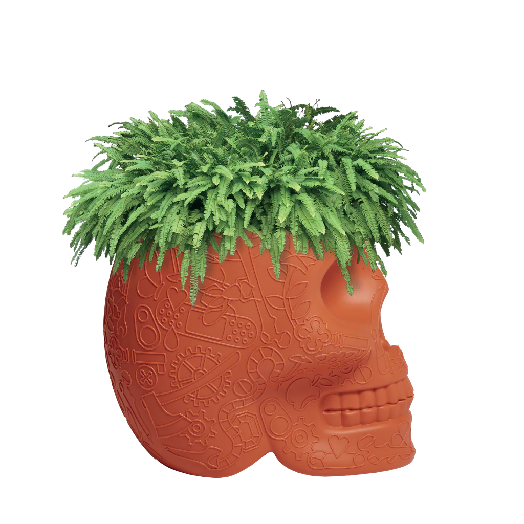 Mexico Planter e Champagne Cooler Qeeboo