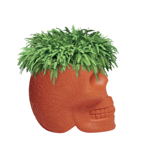 Mexico Planter e Champagne Cooler Qeeboo