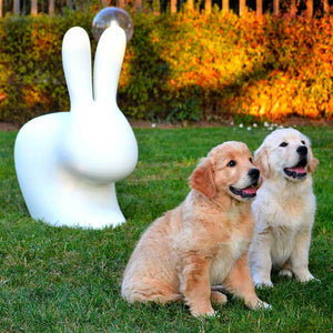 Rabbit Chair Qeeboo - Sedia di Design a forma di Coniglio Stefano Giovannoni