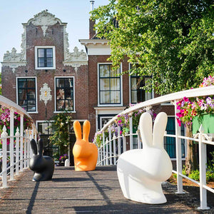 Rabbit Chair Qeeboo - Sedia di Design a forma di Coniglio Stefano Giovannoni
