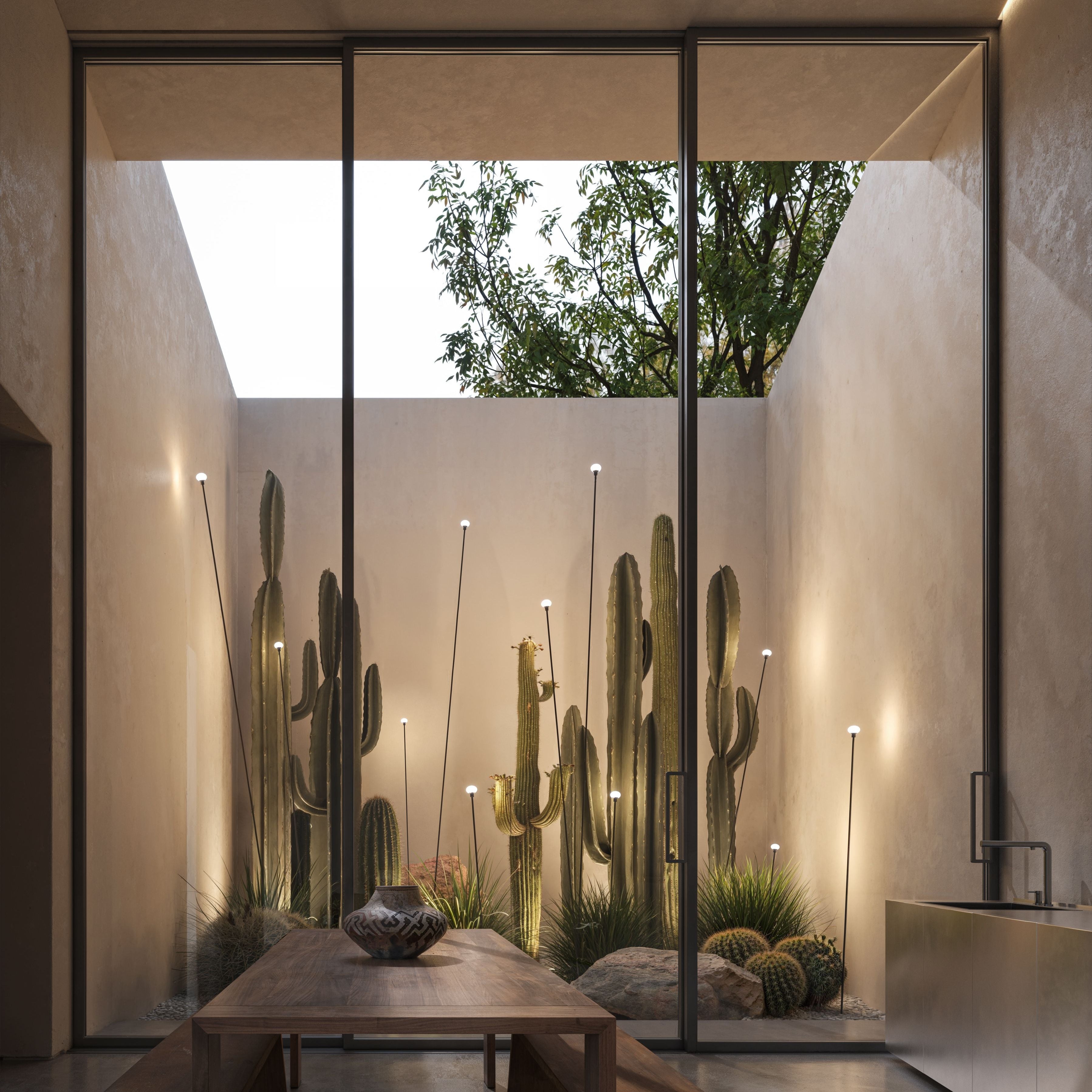 Giardino esotico elegantemente illuminato