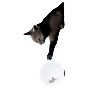 ecletty maoo lampada da parete gatto nero
