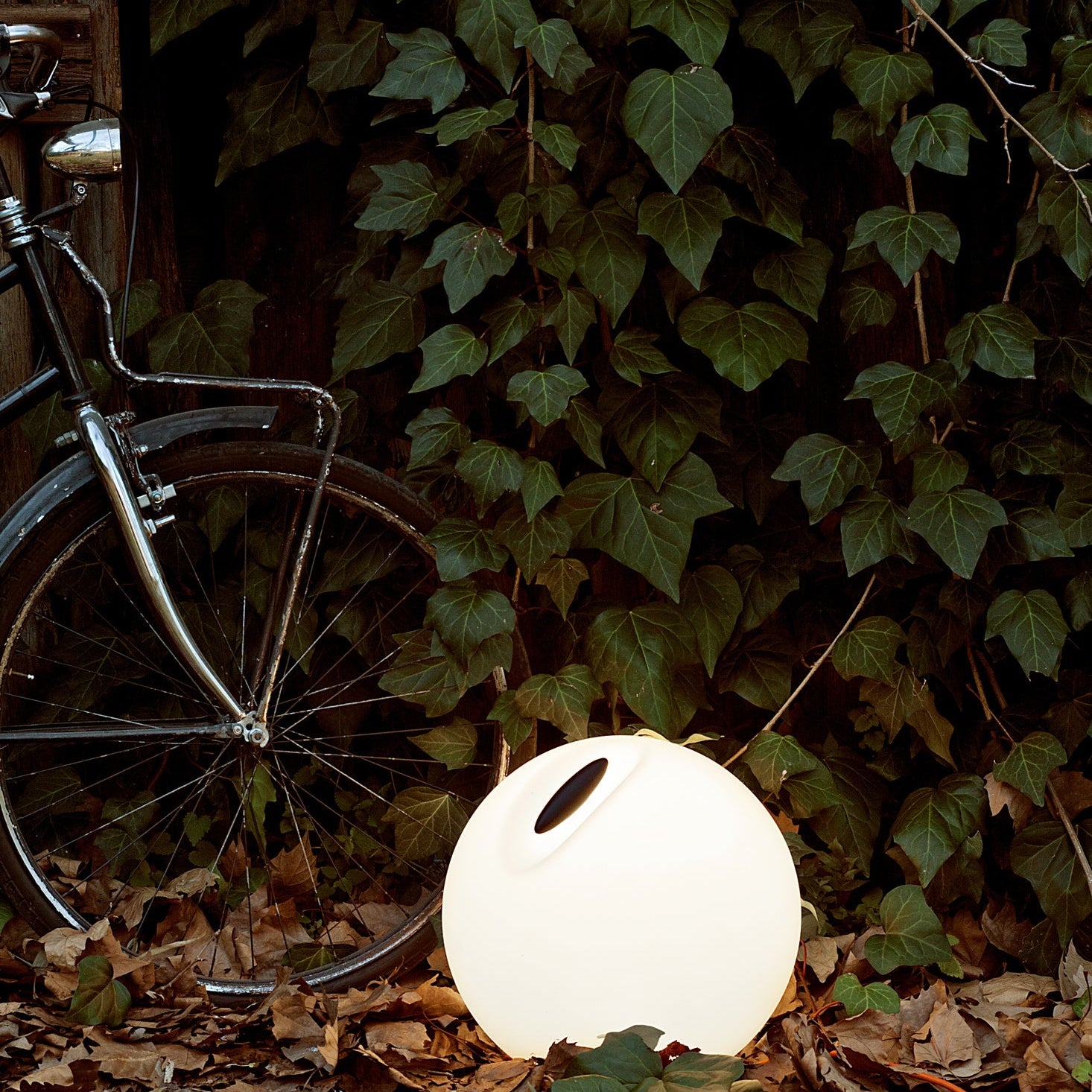 Lampada d'apoggio Bowl posizionata in un'aiuola con intorno foglie cadute. 